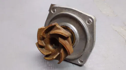 Bomba De Água Fiat Uno Mille 04/13 25099