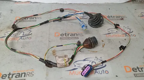 Chicote Porta Td Citroen Picasso 2002/12 9643359080 26840