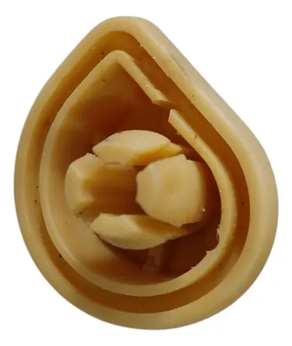 Ajustador Excêntrico Parabrisa Astra/celta/corsa/tigra/kadet - Amarelo