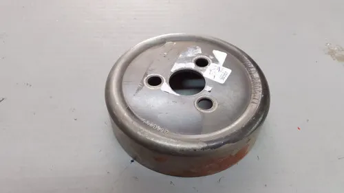 Polia Bomba D'água Focus 02/08 1.8 2.0 30357