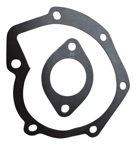 Junta Bomba Agua Renault Traffic Gas Diesel 91/..29530