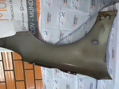 Paralama Dianteiro Esquerdo Peugeot 206  4970