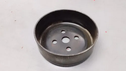 Polia Bomba D'água Ford Focus 08/13 1.6 30355